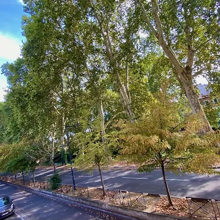 Apartament Refait A Neuf Centre Tuluza
